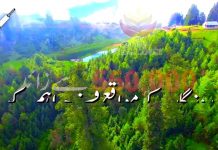 PTI TVC for General Elections 2018 on KP’s Tree Plantation (19.07.18) – Insaf Tv