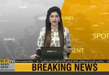 مران خان کی کابینہ کتنے وزرا پر مشتمل ہو گی ؟