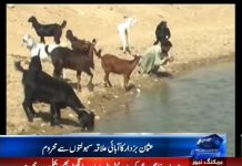 Samaa Package on Prime Minister Imran Khan Elected at National Assembly of Pakistan Islamabad (17.08.18)