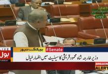 Minister of Foreign Affairs Shah Mehmood Qureshi Speech Senate of Pakistan Islamabad (28.08.18)