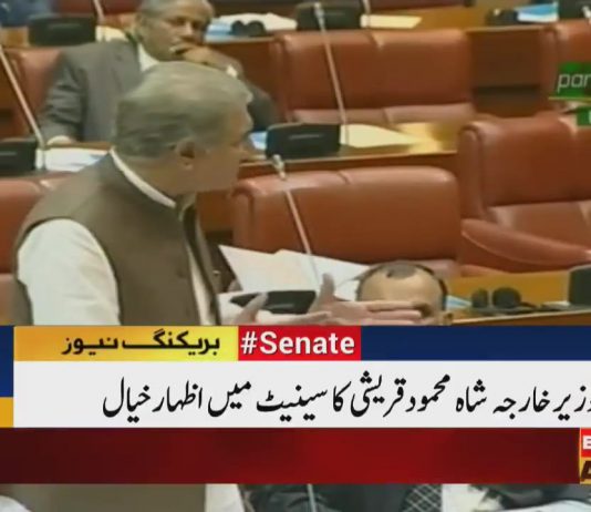 Minister of Foreign Affairs Shah Mehmood Qureshi Speech Senate of Pakistan Islamabad (28.08.18)
