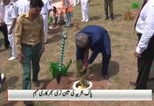 PTV News Report on Plant for Pakistan briefing on Pakistan Largest ever Tree Plantation Drive to start on September 2 (30.08.18) PTV News Report on Plant for Pakistan briefing on Pakistan Largest ever Tree Plantation Drive to start on September 2 (30.08.18)