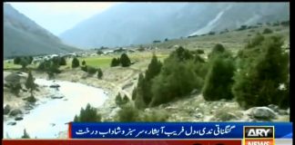 ARY News Package on Tourist Destination Golen Valley in Chitral (13.09.18)