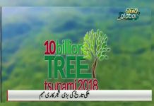 PTV News Report on Climate Change Issues and Plant for Pakistan Update...