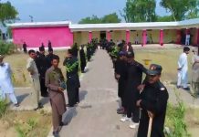 we are Pakistanis and we plant trees, not land mines we are Pakistanis and we plant trees, not land mines