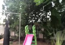 Celebrity Ambassador for 10 billion tree plantation...