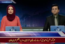 ملک بھر میں شجرکاری مہم کا آغاز وزیراعظم 5 سال میں کتنے درخت لگائیں گے جان کر آپ رہ جائیں گے