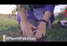 oin Pakistan Largest ever Tree Plantation Drive and let's plant 10 billion trees in next 5 years to tackle climate change Plant for Pakistan