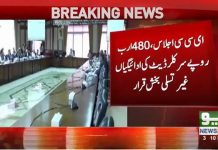 وزیراعظم ہاؤس سمیت اہم اداروں کی بجلی کاٹنے کا فیصلہ.....