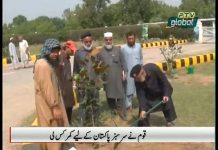 PTV News Package on Launch of Plant for Pakistan drive across the Country (02.09.18)