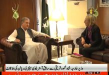 Shah Mehmood Qureshi urges international community to take steps for ending systematic Human Rights