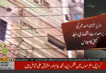 Finance Minister Asad Umar Decides To Cut All Illegal Electricity Connections In 3 Months