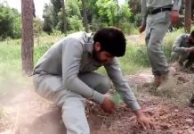 Highlights of Plantation Activity in Pakistan Forest Institute Peshawar...