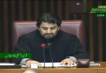 Minister of State for Interior Shehryar Khan Afridi Speech National Assembly Islamabad (28.09.18)