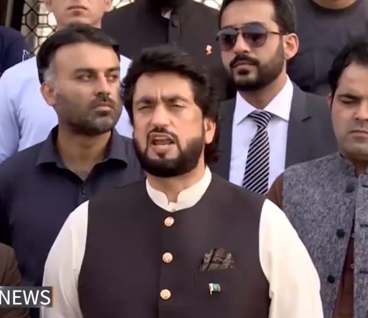 Minister of State for Interior Shehryar Khan Afridi Media Talk Karachi (15.10.18)
