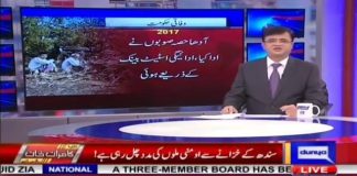 منی لانڈرنگ کے سب سے بڑے کردار اومنی گروپ کا سپریم کورٹ میں کیس چل رہا ہے اور سندھ حکومت نہیں سبسڑی کی مد میں اربوں روپے لٹا رہی ہے
