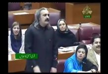 Minister for Kashmir Affairs and Gilgit-Baltistan Ali Amin Khan Gandapur Speech in National Assembly on Kashmir Issue (29.10.18)