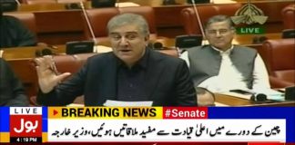 Minister of Foreign Affairs Shah Mehmood Qureshi Speech Senate of Pakistan Islamabad (07.11.18)