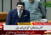Minister for Water Resources Faisal Vawda Speech National Assembly (07.11.18)