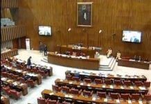 Minister of State for Revenue Hammad Azhar Speech Senate of Pakistan Islamabad (12.11.18)