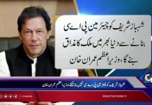 شہباز شریف کو کسی صورت چیئرمین پی اے سی نہیں بنائیں گے. وزیر اعظم عمران خان نے دو ٹوک اعلان کردیا