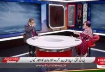 Minister for Human Rights Dr. Shireen Mazari Exclusive Interview on Hum News Agenda Pakistan With Amir Zia (17.11.18)
#PTI