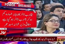 Finance Minister Asad Umar Speech in Jinnah Convention (29.11.18)
#TabdeeliKay100Din