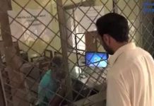 پاکستان ریلوے پر عوام کا اعتماد بڑھنے لگا، وفاقی وزیر ریلوے شیخ رشید احمد اور ریلوے انتظامیہ کی بڑی کامیابی۔
پاکستان ریلوے کی ٹکٹوں کے فروخت میں نیا ریکارڈ، ایک دن میں ساڑھے چھ کروڑ سے زائد مالیت کے ٹکٹوں کی فروخت، یکم دسمبر کو فروخت ہونے والے ٹکٹوں کی تعداد 51 ہزار 610 رہی۔

#PTI