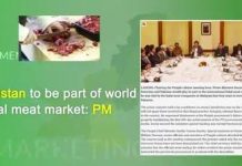100 days unprecedented perfomance revitalised economic growth of Pakistan.

Many discussions regarding the deteriorating situation of Pakistani economy have lost surface when dozens of MOUs are signed with in 100 days of newly elected government.

#100Days #EmergingPakistan #Economy