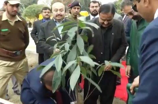 وزیراعلیٰ پنجاب عثمان بزدارنے پولیس لائنز میانوالی میں شجرکاری مہم کے تحت پودا لگایا...