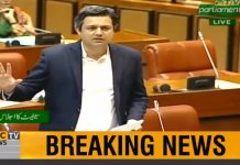 Minister of State for Revenue Hammad Azhar Speech Senate of Pakistan Islamabad (31.01.19)