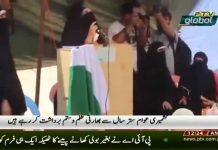PTV News Package ahead of Kashmir Solidarity Day (01.02.19)
