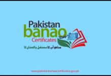 PTI Govt has launched an ambitious plan of #PakistanBanaoCertificates for Overseas Pakistanis