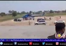 سانوں عُثمان بُزدار نی چاہیدا ...