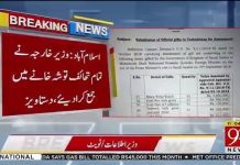 کپتان تو کپتان نائب کپتان بھی کسی سے کم نہیں...