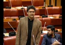 PTI's Senator Faisal Javed Khan Speech Senate of Pakistan, Islamabad (25.02.19)