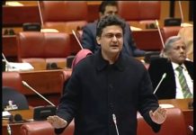 PTI's Senator Faisal Javed Khan Speech Senate of Pakistan, Islamabad (26.02.19)