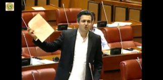 Minister of State for Revenue Hammad Azhar Speech Senate of Pakistan Islamabad (30.04.19)